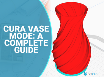 Cuidado Vase Mode: Una guía completa Cuidado Vase Mode: Una guía completa