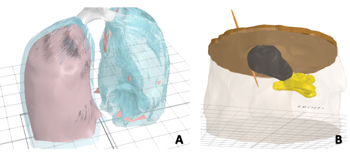 Uso del modelado 3D para enseñar ciencias biológicas